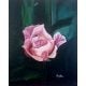 Rose Flower Oil Canvas Painting by Artist Snehaprava Maharana